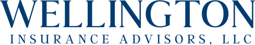 wellington text logo e1733339435969